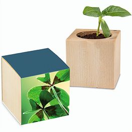 Pflanz-Holz Glücksklee - ohne Lasergravur (* Je nach Verfügbarkeit der Glücksklee-Zwiebeln)