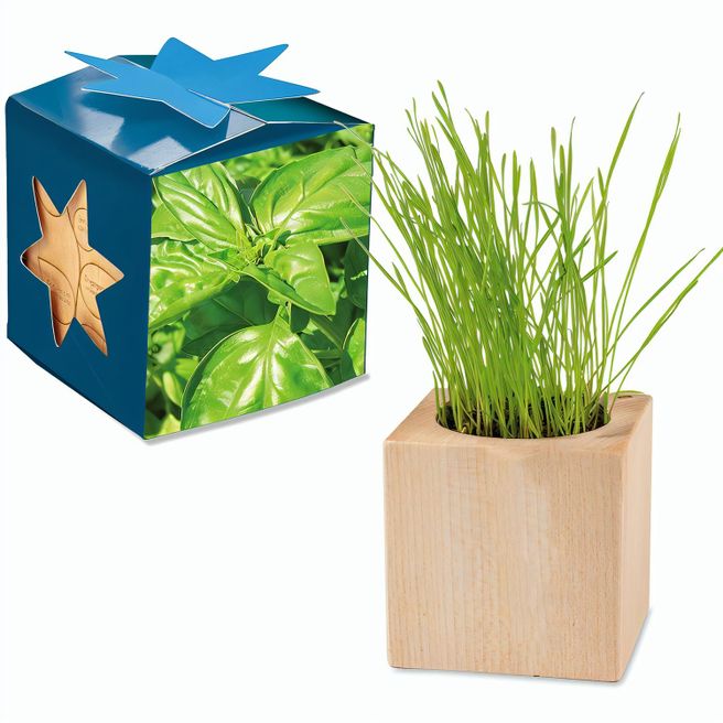 Pflanz-Holz Maxi Star-Box mit Samen - Basilikum