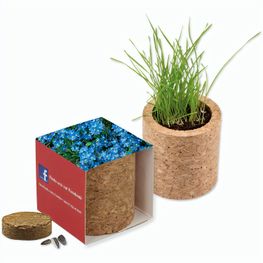 Pflanz-Kork rund mit Samen - Vergissmeinnicht