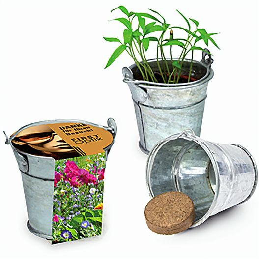 Produktabbildung Pflanzeimerchen mit Samen - Sommerblumenmischung Pflanzeimerchen mit Samen - Sommerblumenmischung (Bild 1)