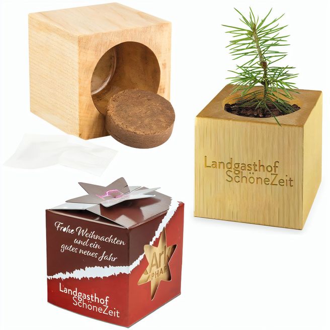 Pflanz-Holz Star-Box Xmas mit Fichtensamen - Fichte, 1 Seite gelasert