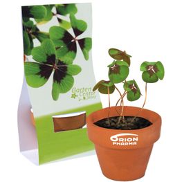 Logo-Töpfchen Überreichverpackung mit Samen - Glücksklee (* Je nach Verfügbarkeit der Glücksklee-Zwiebeln)