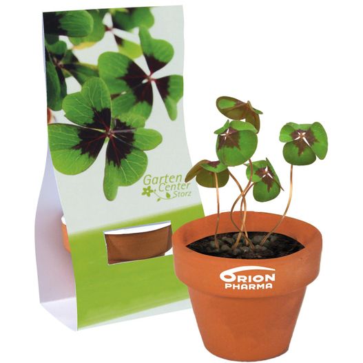 Logo-Töpfchen Überreichverpackung mit Samen - Glücksklee (* Je nach Verfügbarkeit der Glücksklee-Zwiebeln) (Bild 1)