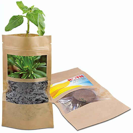 Grünes aus der Tüte mit Samen - Fichte (Bild 1)