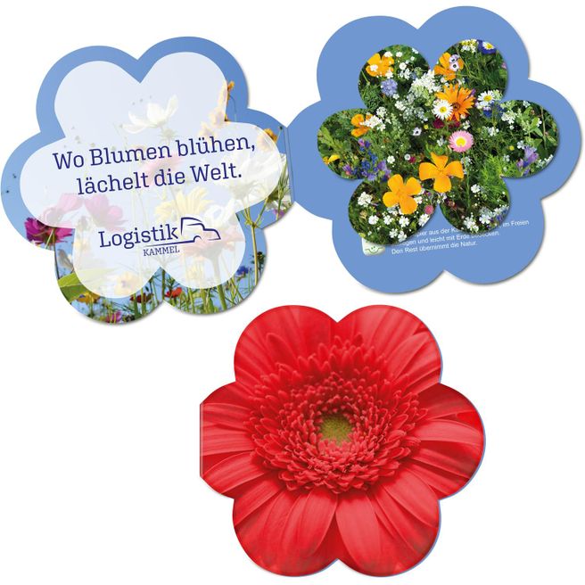 Samenpapier in Klappkärtchen Blume - Blümchen