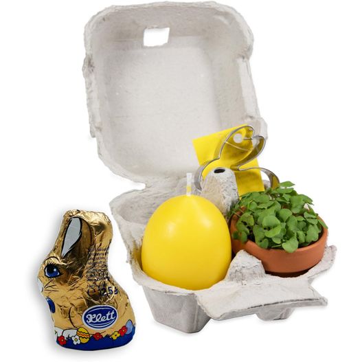 eine kleine eizelle mit einer pflanze und einem kleinen ei Das Gelbe vom Ei - mit Tontöpfchen, Eierkerze, Schokohase (Bild 1)