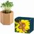 Pflanz-Holz Hexagon mit Samen - Sonnenblume, 1 Seite gelasert (Bild 1)