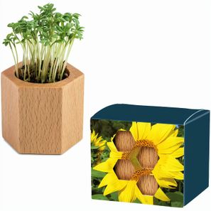 Pflanz-Holz Hexagon mit Samen - Sonnenblume, 1 Seite gelasert