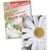 Samentütchen Klein - Recyclingpapier - Margerite (Bild 1)