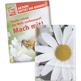 Samentütchen Klein - Recyclingpapier - Margerite