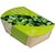 Microgreens-Gärtchen - Salatrauke (Bild 3)