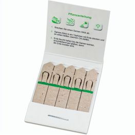 Samen-Stick - Fichte