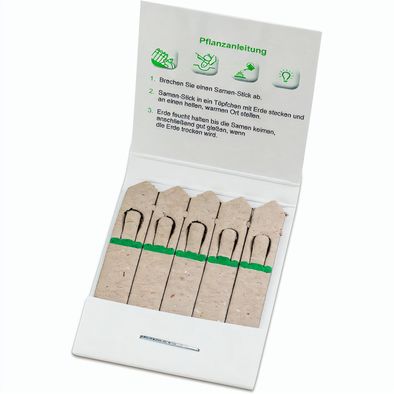 Samen-Stick - Fichte