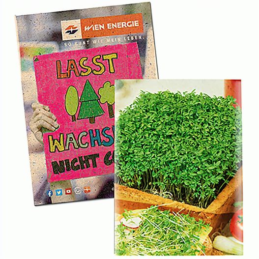Samentütchen Klein - Graspapier - Gartenkresse (Bild 1)