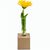 Mini-Vase - mit Digitaldruck (Bild 4)
