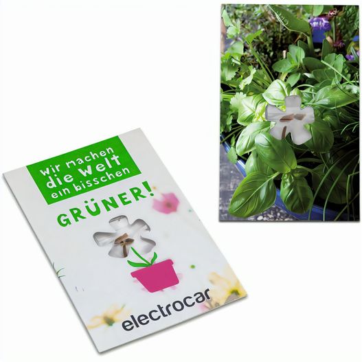 Samen-Karte-Mini Blume - Kräutermischung (Bild 1)