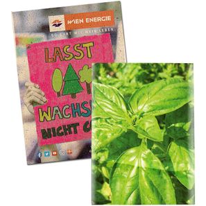 Samentütchen Klein - Graspapier - Basilikum