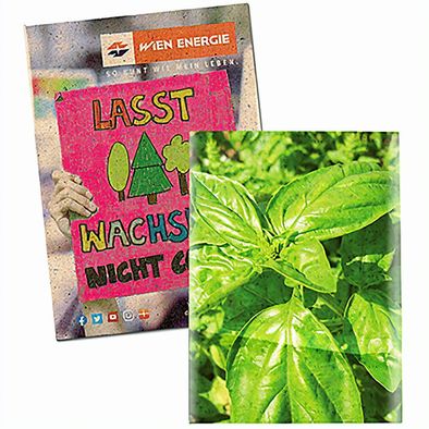 Samentütchen Klein - Graspapier - Basilikum