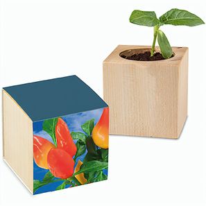 Pflanz-Holz mit Samen - Gewürzpaprika, 1 Seite gelasert