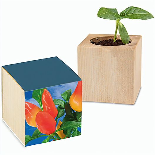 Pflanz-Holz mit Samen - Gewürzpaprika, 1 Seite gelasert (Bild 1)