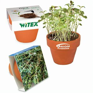 Logo-Töpfchen Banderole mit Samen - Thymian