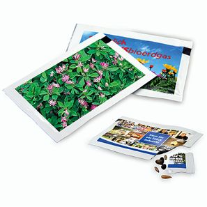 Samen-Briefchen - Persischer Klee