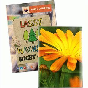 Samentütchen Mini - Graspapier - Ringelblume