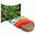 Plant-Tab mit Samen - Fichte (Bild 1)