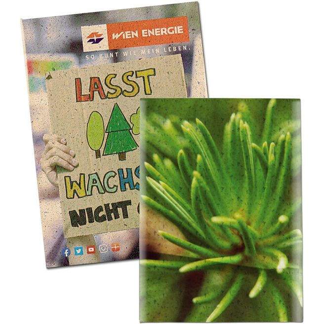 Produktabbildung Samentütchen Mini - Graspapier - Fichte Samentütchen Mini - Graspapier - Fichte