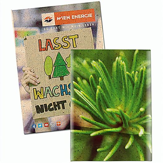 Samentütchen Mini - Graspapier - Fichte (Bild 1)