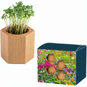 Pflanz-Holz Hexagon mit Samen - Sommerblumenmischung