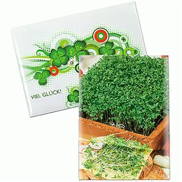 Samentütchen Mini - Standardpapier - Gartenkresse