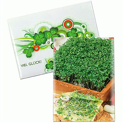 Produktabbildung Samentütchen Mini - Standardpapier - Gartenkresse Samentütchen Mini - Standardpapier - Gartenkresse