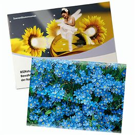 Samentütchen Groß - Standardpapier - Vergissmeinicht