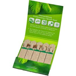 Samen-Stick - Standardmotiv Fichte - Standardmotiv