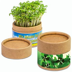 Pflanz-Cup mit Samen - Weihnachten - Glücksklee-Zwiebeln (* Je nach Verfügbarkeit der Glücksklee-Zwiebeln)