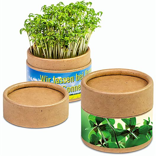 Produktabbildung Pflanz-Cup mit Samen - Weihnachten - Glücksklee-Zwiebeln (* Je nach Verfügbarkeit der Glücksklee-Zwiebeln) Pflanz-Cup mit Samen - Weihnachten - Glücksklee-Zwiebeln (* Je nach Verfügbarkeit der Glücksklee-Zwiebeln) (Bild 1)