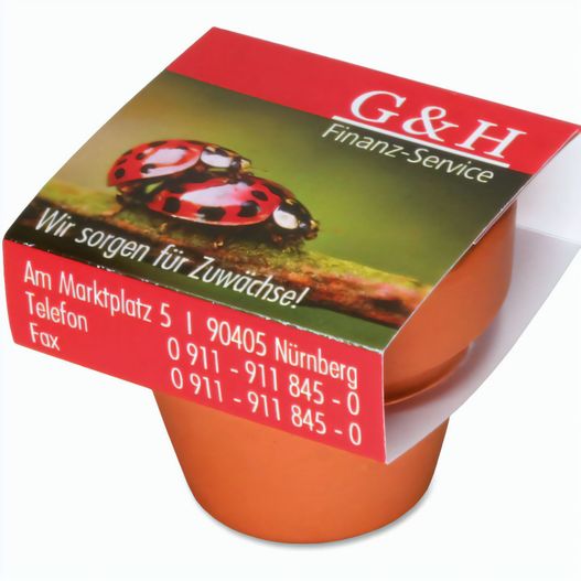 Logo-Topf mit Samen - teracotta - Glücksklee-Zwiebel  (* Je nach Verfügbarkeit der Glücksklee-Zwiebeln) (Bild 1)
