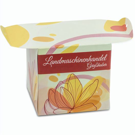 Blumenampel - Sommerblumenmischung (Bild 1)