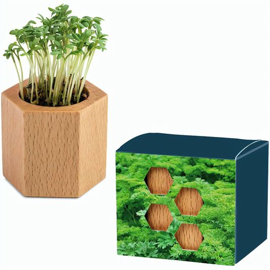 Pflanz-Holz Hexagon mit Samen - Petersilie (Bild 1)