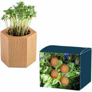 Pflanz-Holz Hexagon mit Samen - Kräutermischung, 1 Seite gelasert