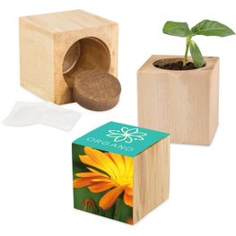Pflanz-Holz Maxi mit Samen - Ringelblume, 2 Seiten gelasert