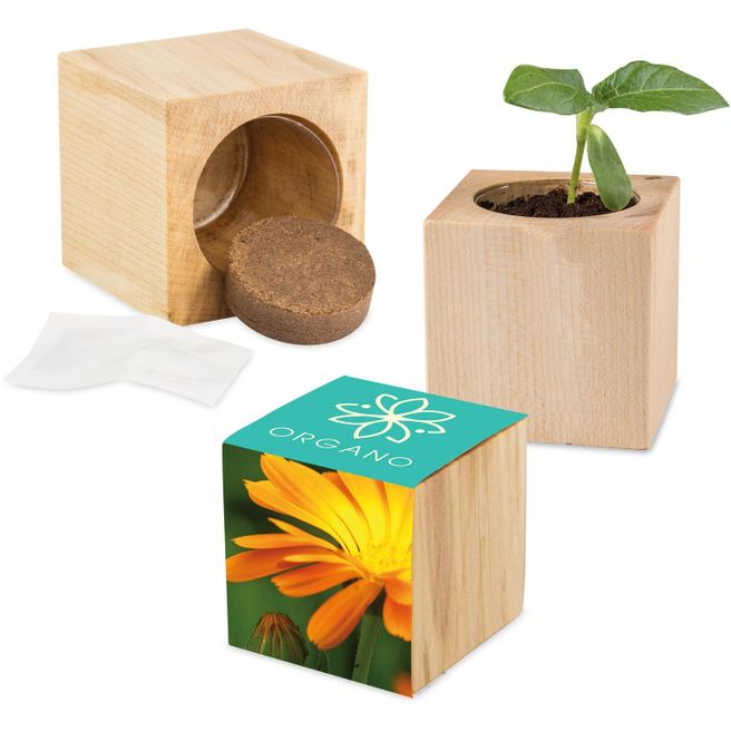 Pflanz-Holz Maxi mit Samen - Ringelblume, 2 Seiten gelasert