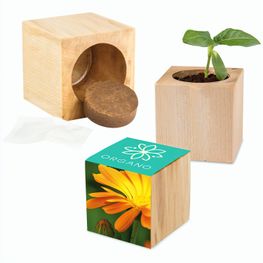 Pflanz-Holz Maxi mit Samen - Ringelblume, 2 Seiten gelasert