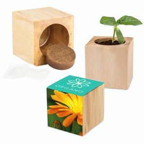 Pflanz-Holz Maxi mit Samen - Ringelblume, 2 Seiten gelasert