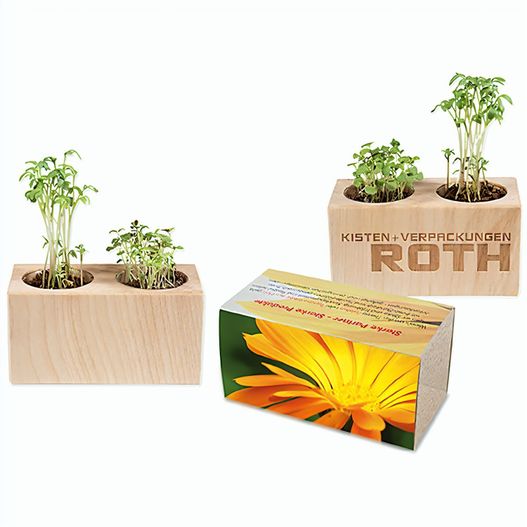 Pflanz-Holz 2er Set mit Samen - Ringelblume (Bild 1)