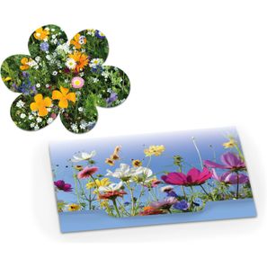 Samenpapier - Standardmotiv - Blümchen