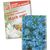 Samentütchen Klein - Recyclingpapier - Vergissmeinnicht (Bild 1)