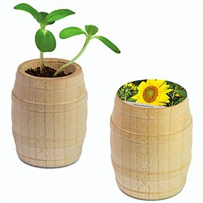 Pflanz-Fässchen mit Samen - Sonnenblume, Lasergravur