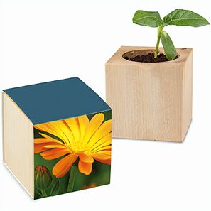 Pflanz-Holz mit Samen - Ringelblume, 1 Seite gelasert